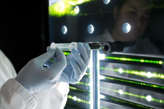 Biotechnologies, agro-industries et bioéconomie : quels enjeux pour le déploiement en Europe ?