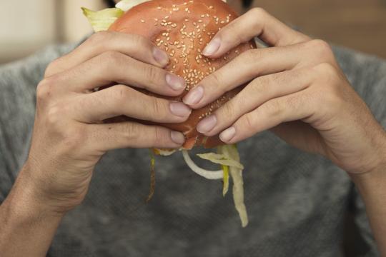 Gut microbiota found to play a pivotal role in disordered eating tied to repeated dieting