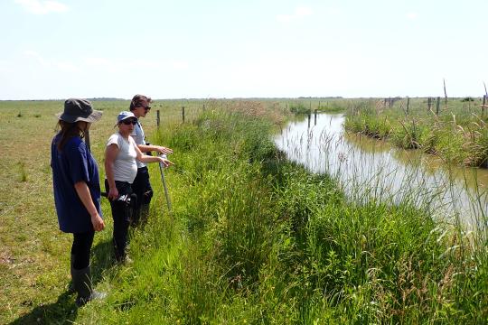 Le projet de recherche Mavi labélisé par l’Agence régionale de la biodiversité Nouvelle-Aquitaine