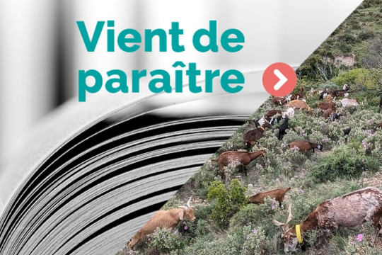 Pastoralismes : regards croisés pour l'avenir