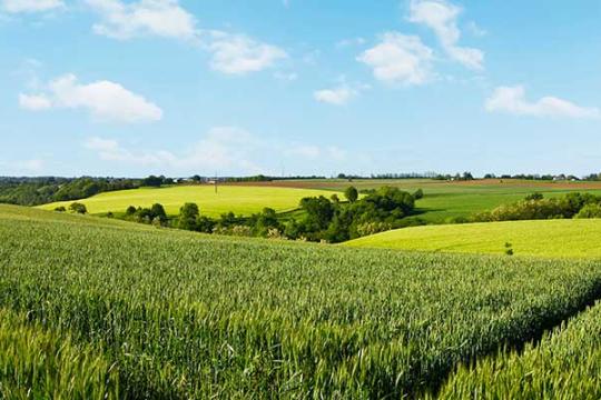 Réorienter les aides de la Politique agricole commune pour accélérer la transition écologique