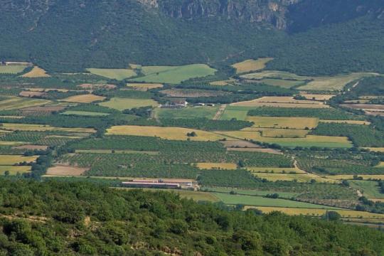 Pour une meilleure comparaison entre agriculture biologique et conventionnelle