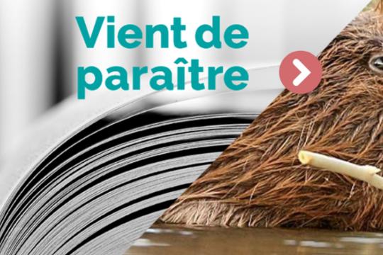 Ripisylves et forêts alluviales