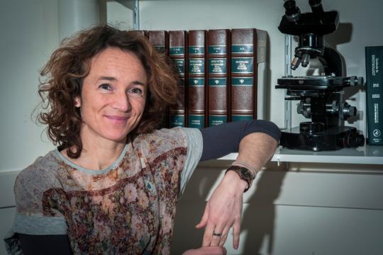 illustration Rut Carballido-López, lauréate ERC Consolidator Grant