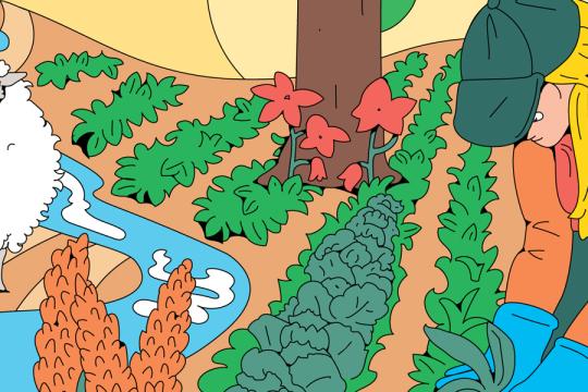 Quels agriculteurs pour quelles agricultures demain ?