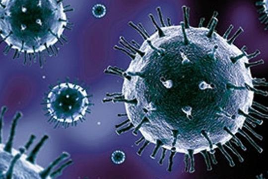 Analyse de la protéine qui permet au SARS-CoV-2 d’infecter les cellules