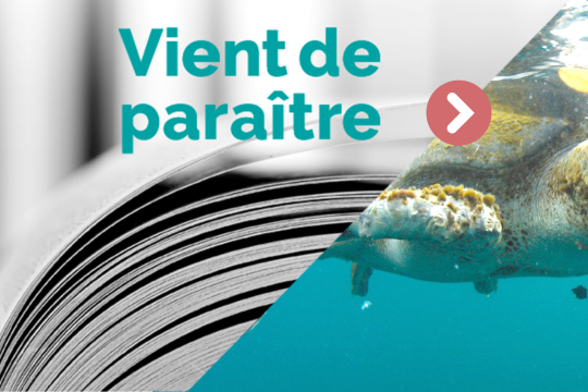 Pollution plastique, la biodiversité menacée