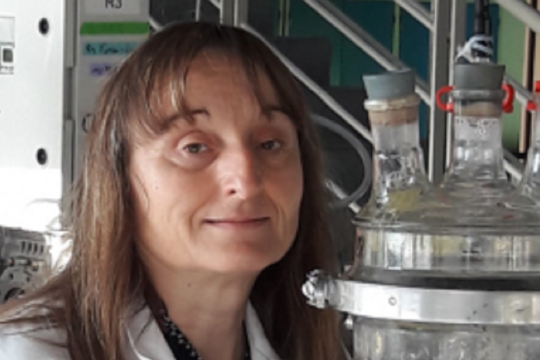 Hélène Carrère, une référence en matière de transformation de la biomasse 