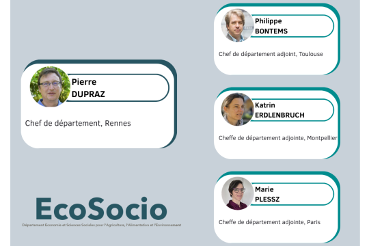Équipe de direction du département EcoSocio