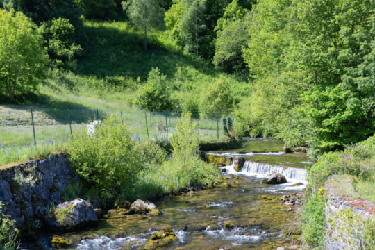  Peut‑on encore éviter la disparition du saumon sauvage en France ?