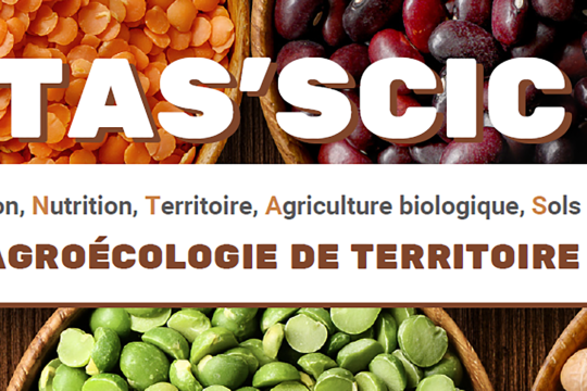 Reconquérir les friches, relocaliser l’alimentation :  Fantas’Scic passe à l’action dans l’Aude