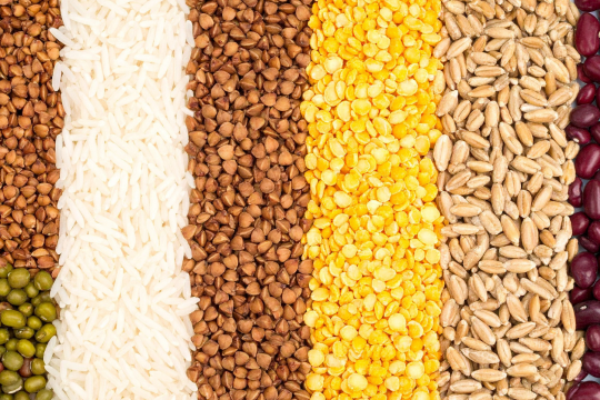 Recherche participative sur la biodiversité cultivée : deux circuits pour relier science, agriculture et société