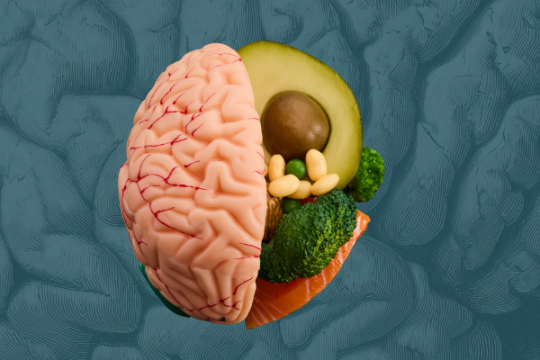 5 découvertes récentes sur l’influence de l’alimentation sur le cerveau