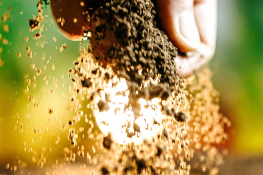 Décryptage - Sécheresse agricole : comprendre pour s'adapter