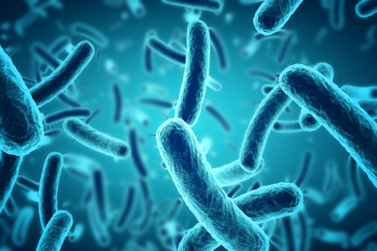 NovoBiome et INRAE : un nouveau Laboratoire Partenarial Associé pour la recherche sur le microbiote intestinal humain