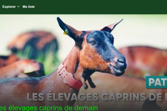 De la recherche au terrain : INRAE et Agriflix s’associent pour mieux diffuser l’innovation scientifique au sein des exploitations agricoles