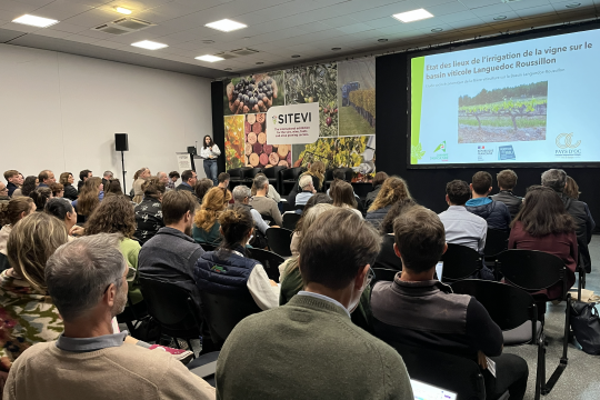SITEVI 2025 : Ensemble pour des vignobles d’avenir