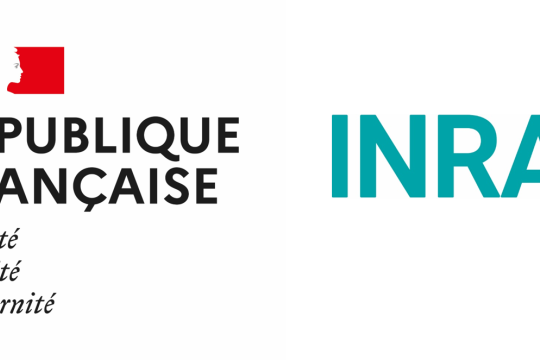 Russia-Ukraine conflict: INRAE’s official position