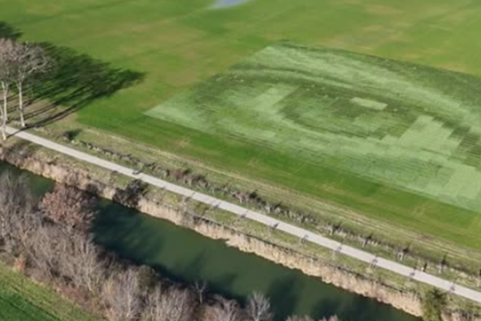 La diversité végétale en un clin d’œil